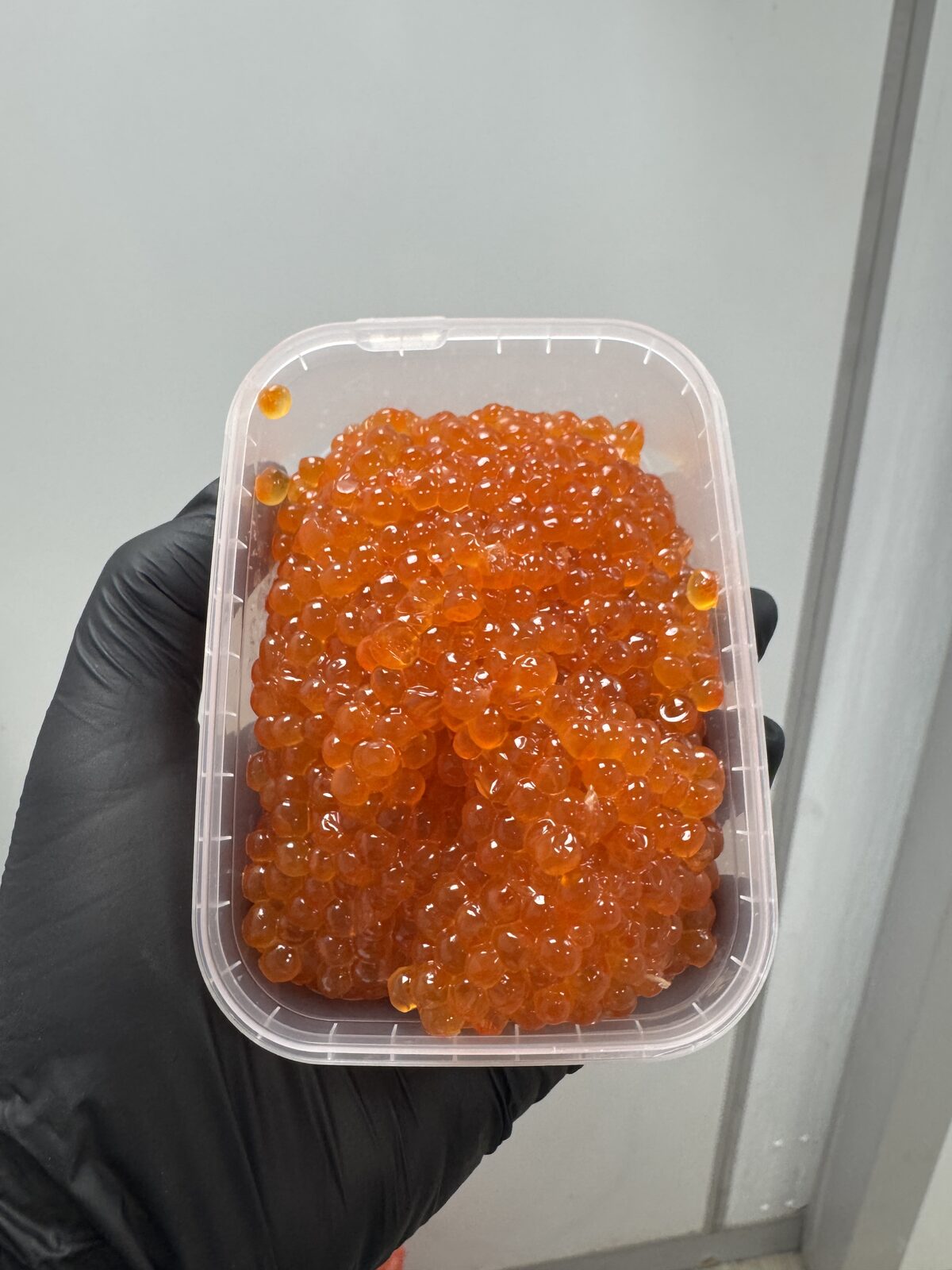 Икра кеты
